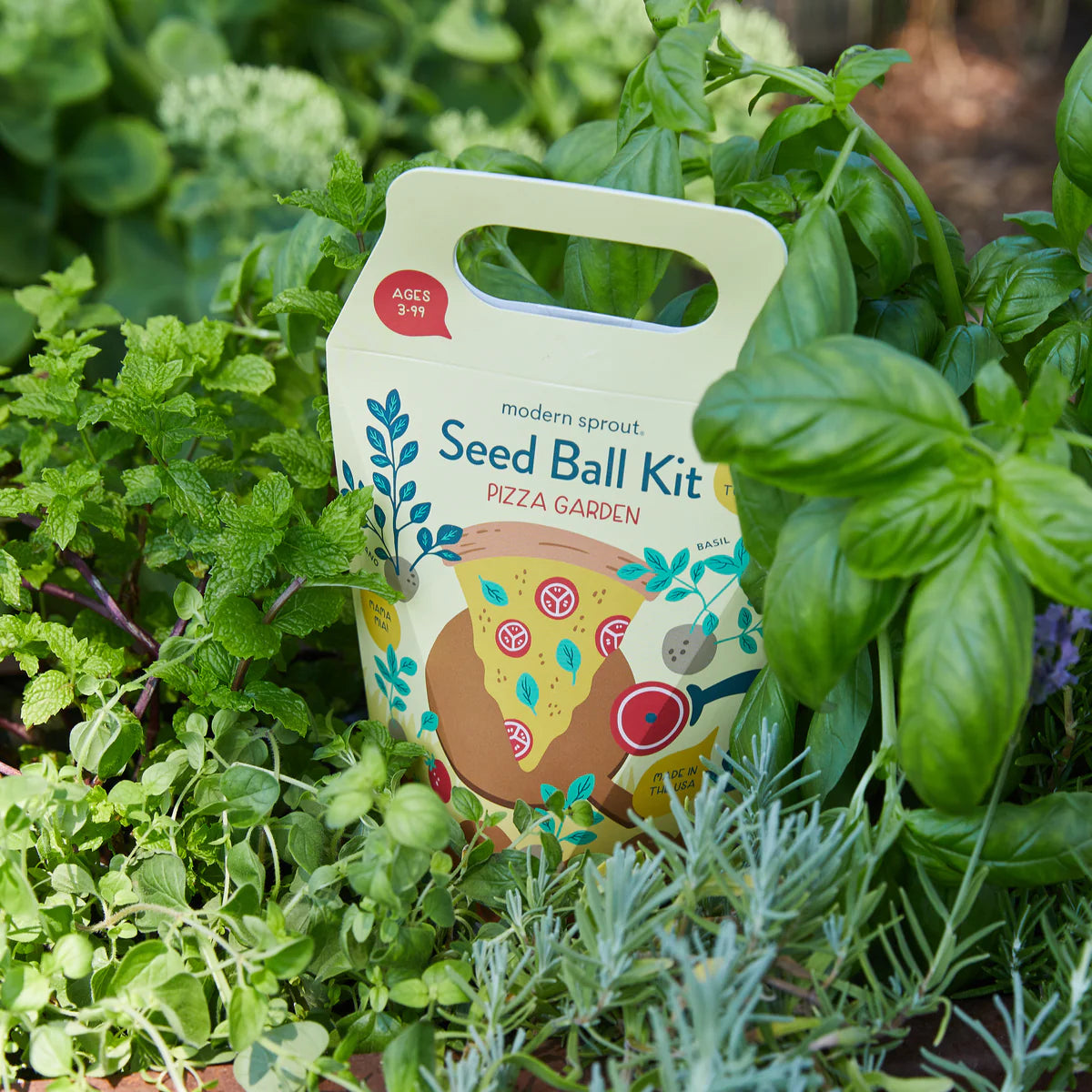 Seed Ball Kit - pizza