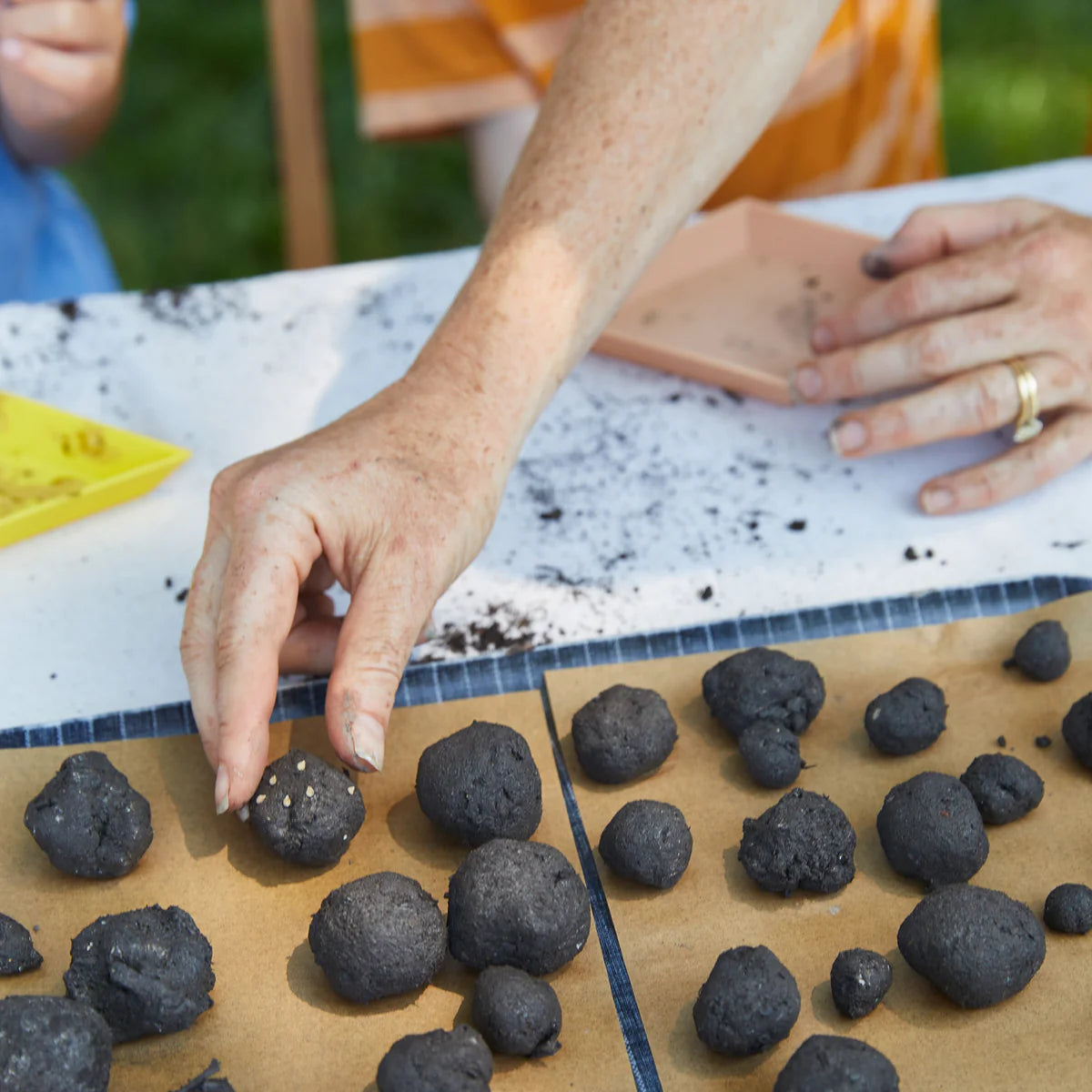 Seed Ball Kit - wildflower garden