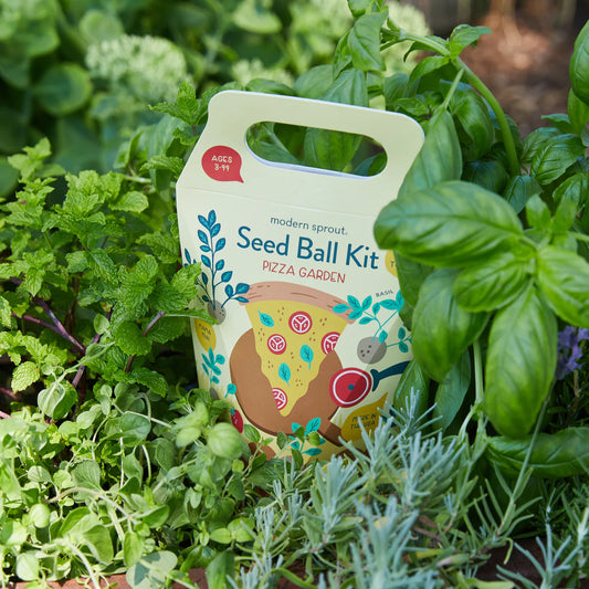 Seed Ball Kit - pizza