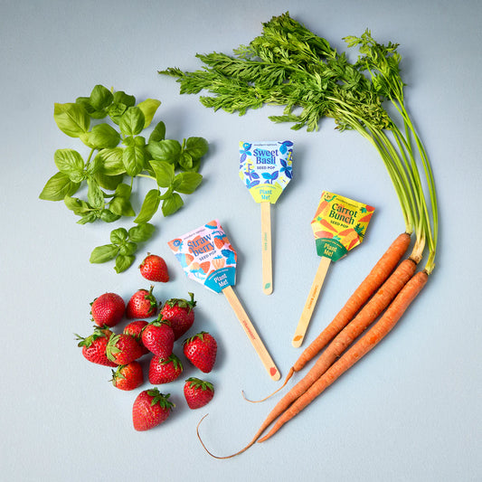 Seed Pop Garden